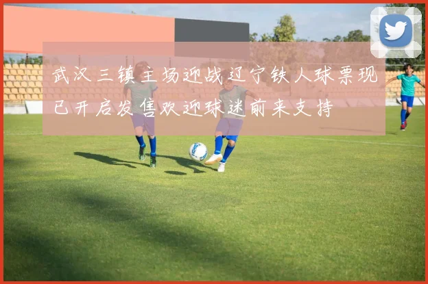 武汉三镇主场迎战辽宁铁人球票现已开启发售欢迎球迷前来支持
