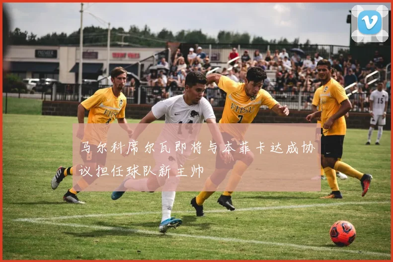 马尔科席尔瓦即将与本菲卡达成协议担任球队新主帅